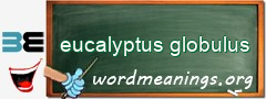 WordMeaning blackboard for eucalyptus globulus